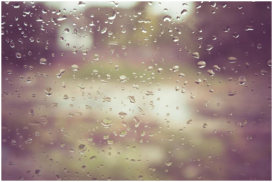 雨水節(jié)氣要注意調(diào)養(yǎng)脾胃